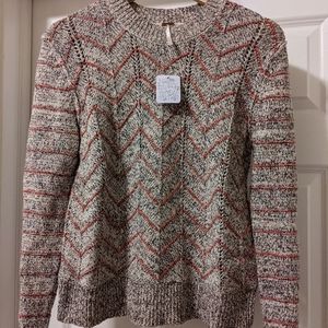 Free People Knitted Chevron Sweater